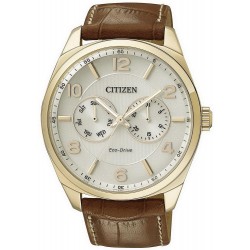 Buy Citizen Men's Watch Metropolitan Eco-Drive AO9024-16A Multifunction