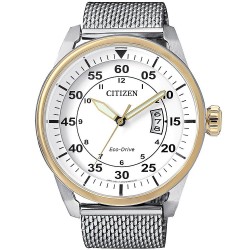 Citizen Herrenuhr Aviator Eco-Drive AW1364-54A