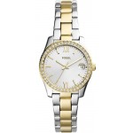 Buy Womens Fossil Watch Scarlette Mini ES4319 Quartz