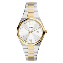 Image of the Fossil Scarlette - Steel Womens Watch - ES5259