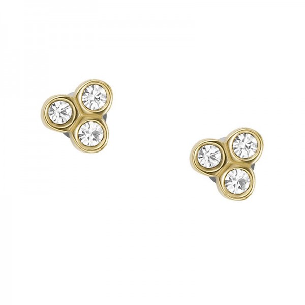 Bild von Fossil Damenohrringe Sadie JF04110710