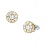 Imagen de Pendientes Fossil Jewelry mujer JF04375710