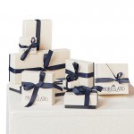 Imagen del Collar Morellato Drops Mujer SCZ1324